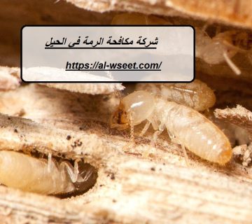 شركة مكافحة الرمة في الحيل