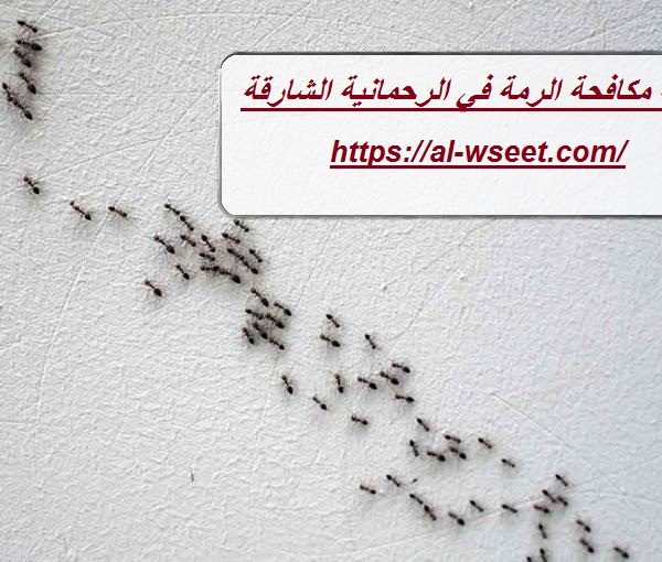 شركة مكافحة الرمة فى الرحمانية الشارقة