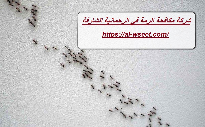 شركة مكافحة الرمة فى الرحمانية الشارقة