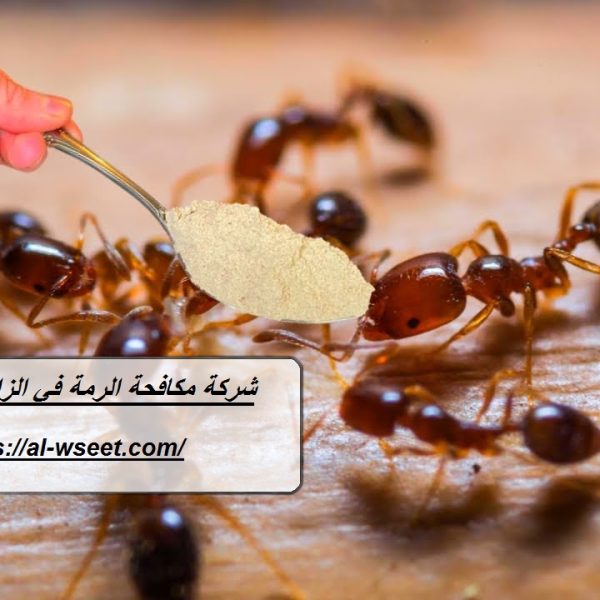 شركة مكافحة الرمة في الزاهية الشارقة