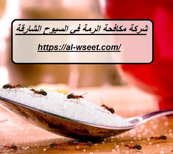 شركة مكافحة الرمة في السيوح الشارقة