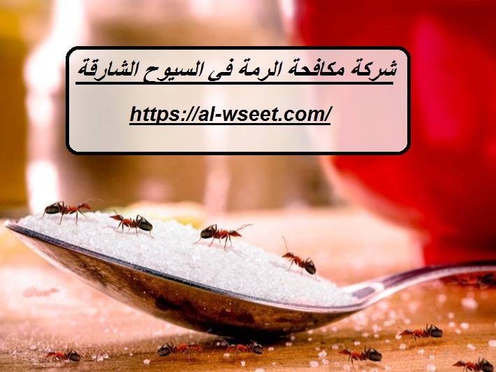 شركة مكافحة الرمة في السيوح الشارقة