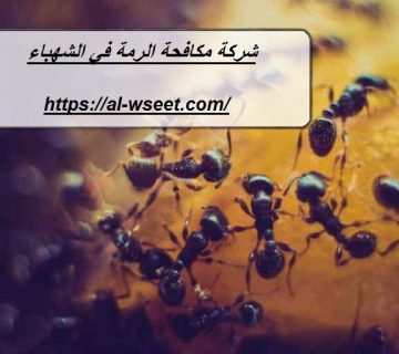 شركة مكافحة الرمة في الشهباء
