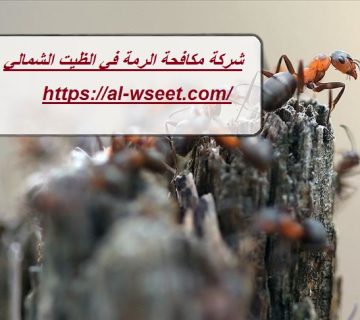 شركة مكافحة الرمة في الظيت الشمالي