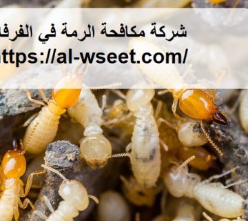 شركة مكافحة الرمة في الفرفار