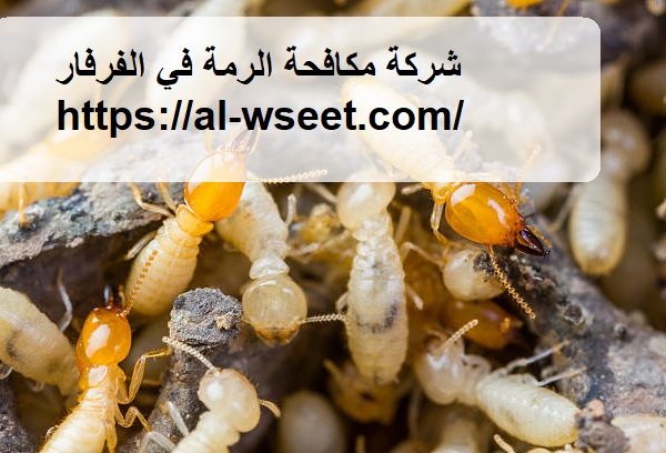شركة مكافحة الرمة في الفرفار