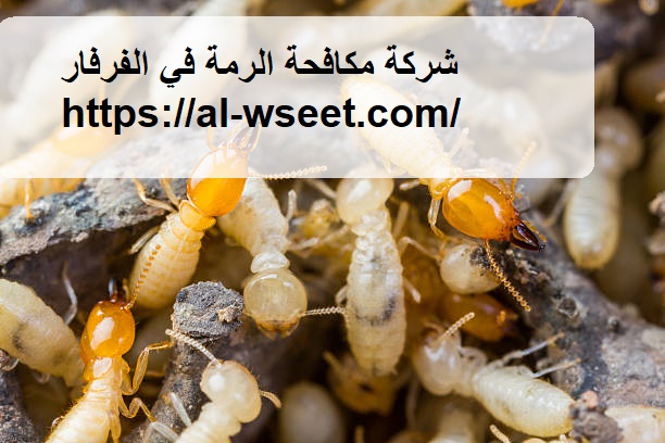 شركة مكافحة الرمة في الفرفار