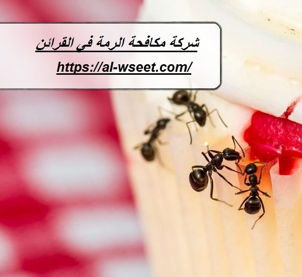 شركة مكافحة الرمة في القرائن