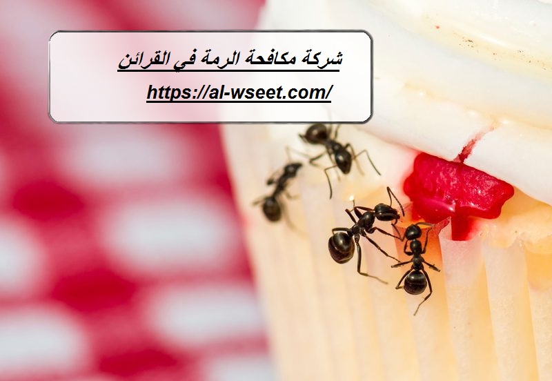 شركة مكافحة الرمة في القرائن