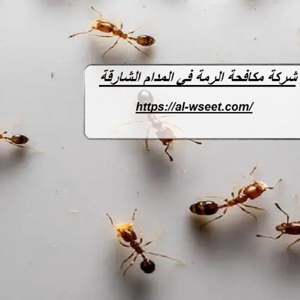 شركة مكافحة الرمة في المدام الشارقة