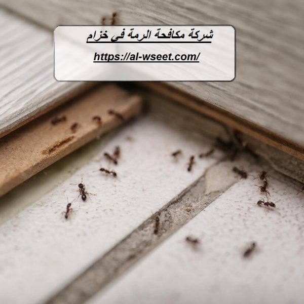 شركة مكافحة الرمة في خزام