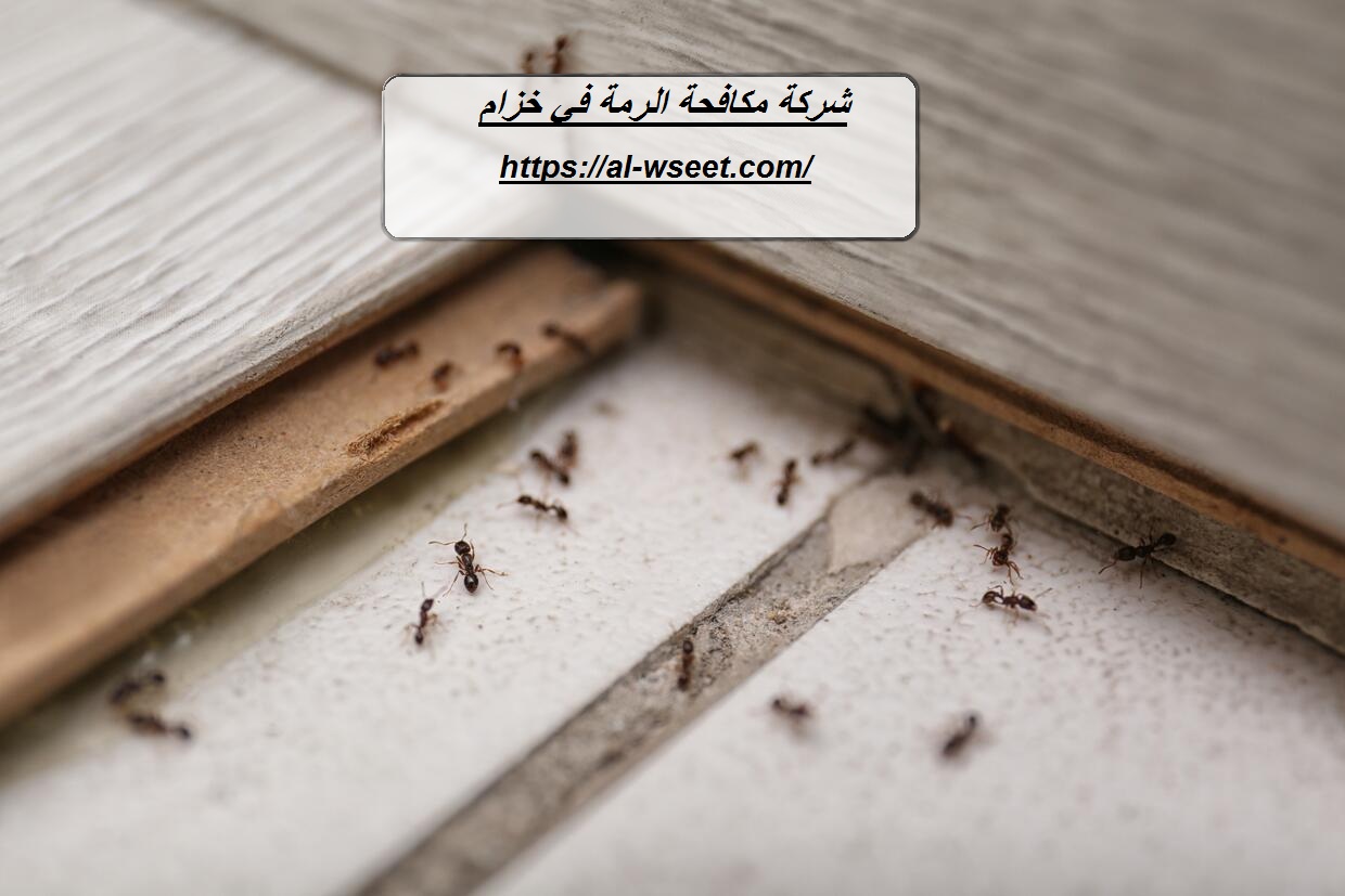 شركة مكافحة الرمة في خزام