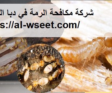 شركة مكافحة الرمة في دبا الحصن