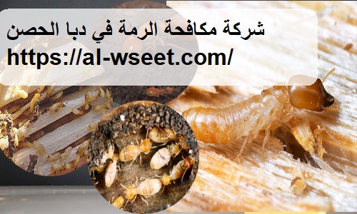 شركة مكافحة الرمة في دبا الحصن
