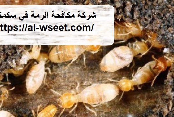 شركة مكافحة الرمة في سكمكم