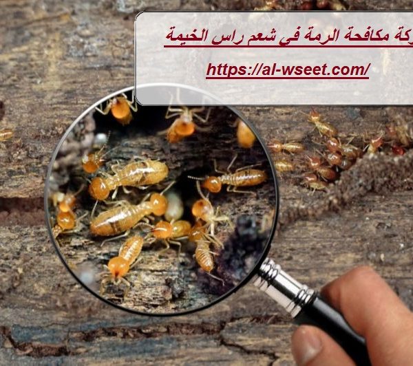 شركة مكافحة الرمة في شعم راس الخيمة