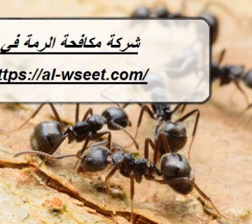 شركة مكافحة الرمة في مويلح