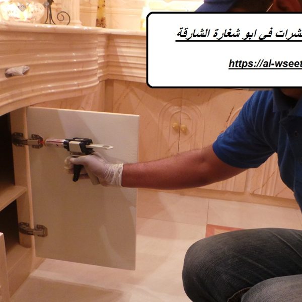 شركة مكافحة حشرات في ابو شغارة الشارقة