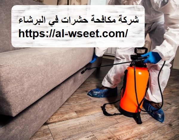 شركة مكافحة حشرات في البرشاء