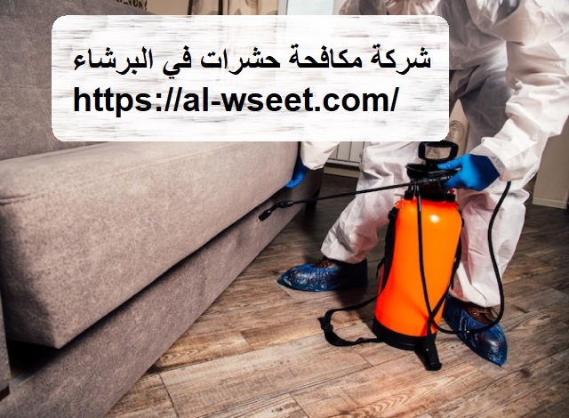 شركة مكافحة حشرات في البرشاء