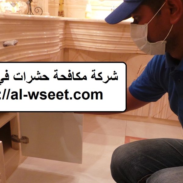 شركة مكافحة حشرات في البطين