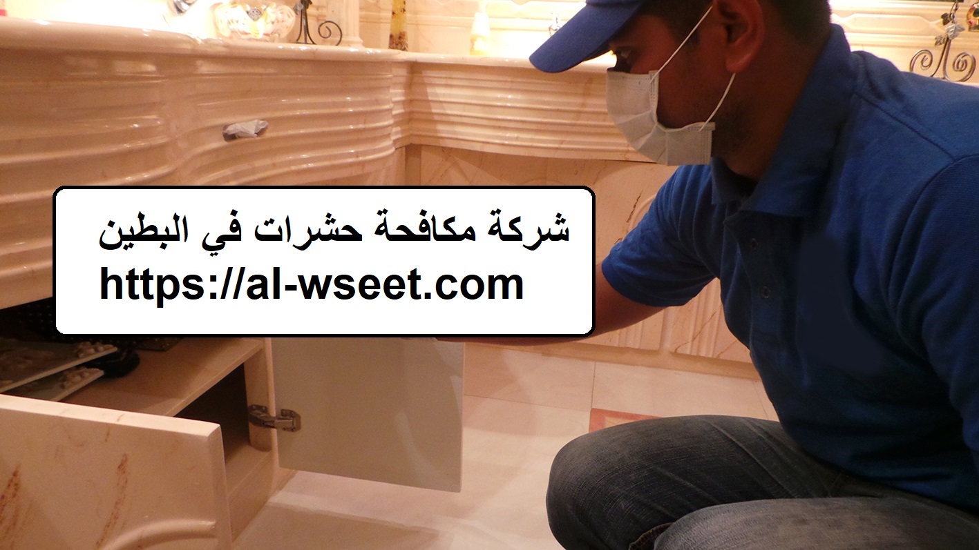 شركة مكافحة حشرات في البطين