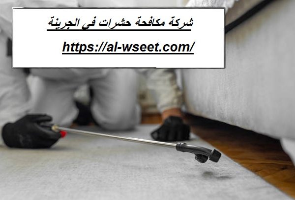 شركة مكافحة حشرات في الجرينة