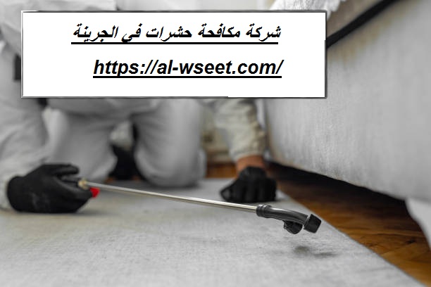 شركة مكافحة حشرات في الجرينة