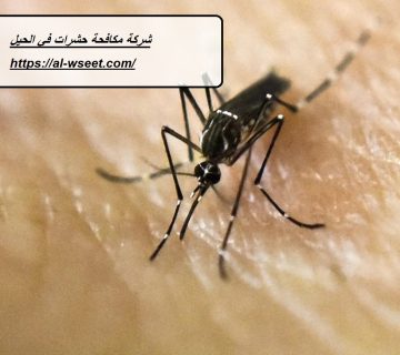 شركة مكافحة حشرات في الحيل