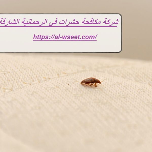 شركة مكافحة حشرات في الرحمانية الشارقة