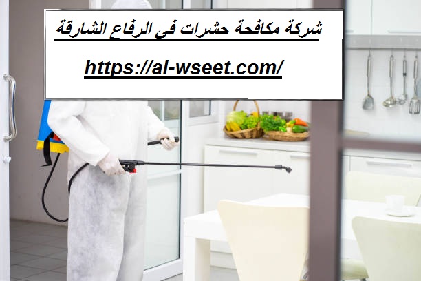 شركة مكافحة حشرات في الرفاع الشارقة