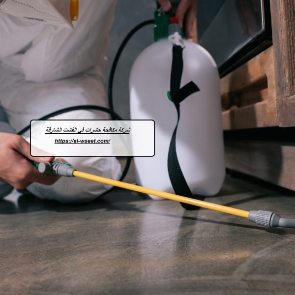 شركة مكافحة حشرات في الفشت الشارقة