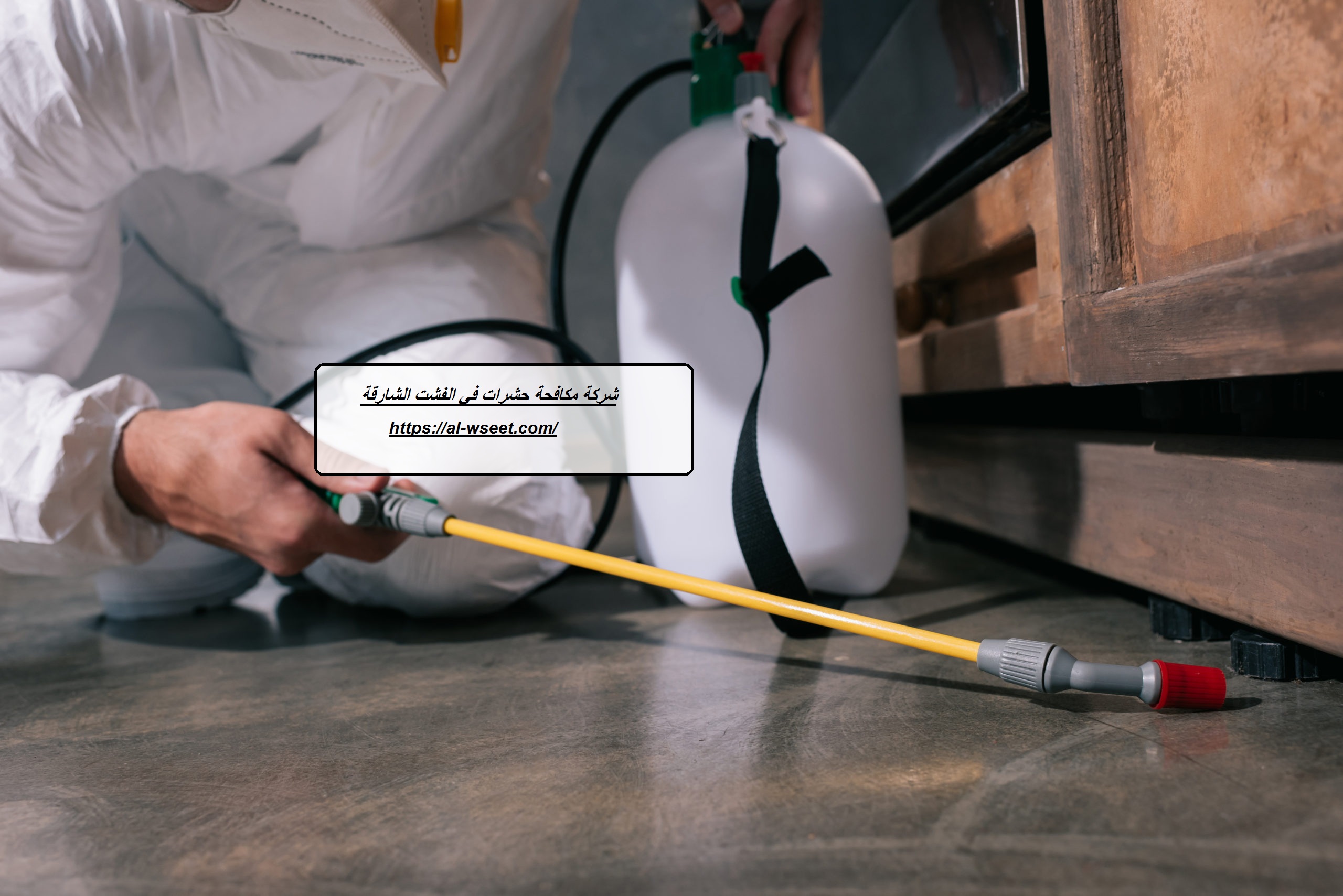 شركة مكافحة حشرات في الفشت الشارقة