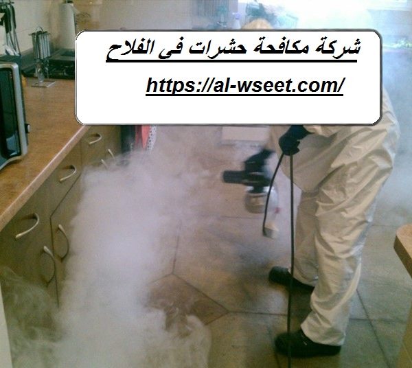 شركة مكافحة حشرات في الفلاح