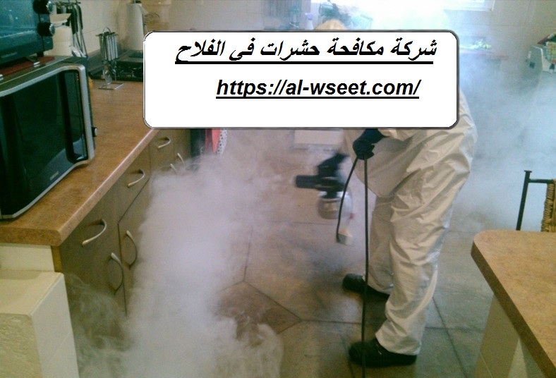 شركة مكافحة حشرات في الفلاح