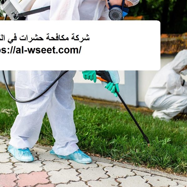 شركة مكافحة حشرات في الكرامة