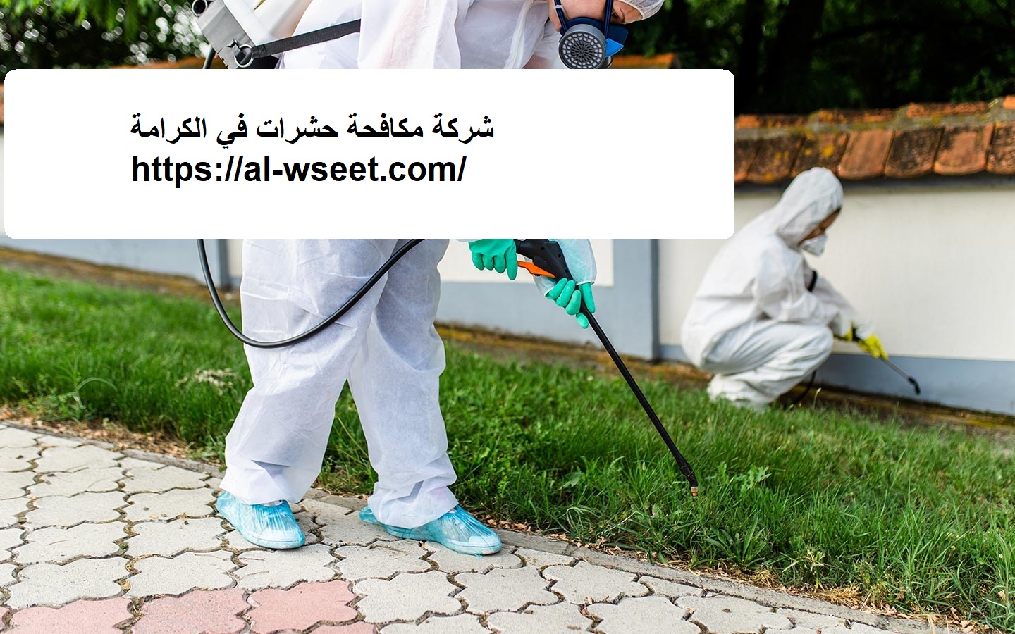 شركة مكافحة حشرات في الكرامة