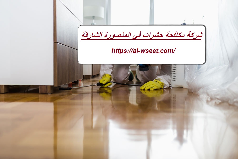 شركة مكافحة حشرات في المنصورة الشارقة