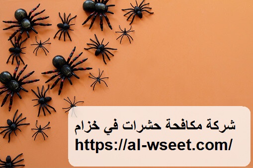شركة مكافحة حشرات في خزام
