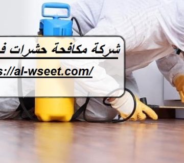 شركة مكافحة حشرات في دبا الفجيرة