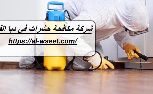 شركة مكافحة حشرات في دبا الفجيرة