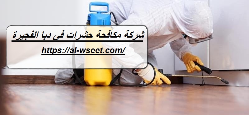 شركة مكافحة حشرات في دبا الفجيرة