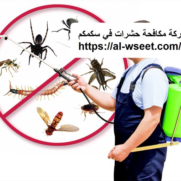 شركة مكافحة حشرات في سكمكم
