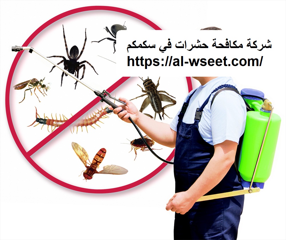 شركة مكافحة حشرات في سكمكم
