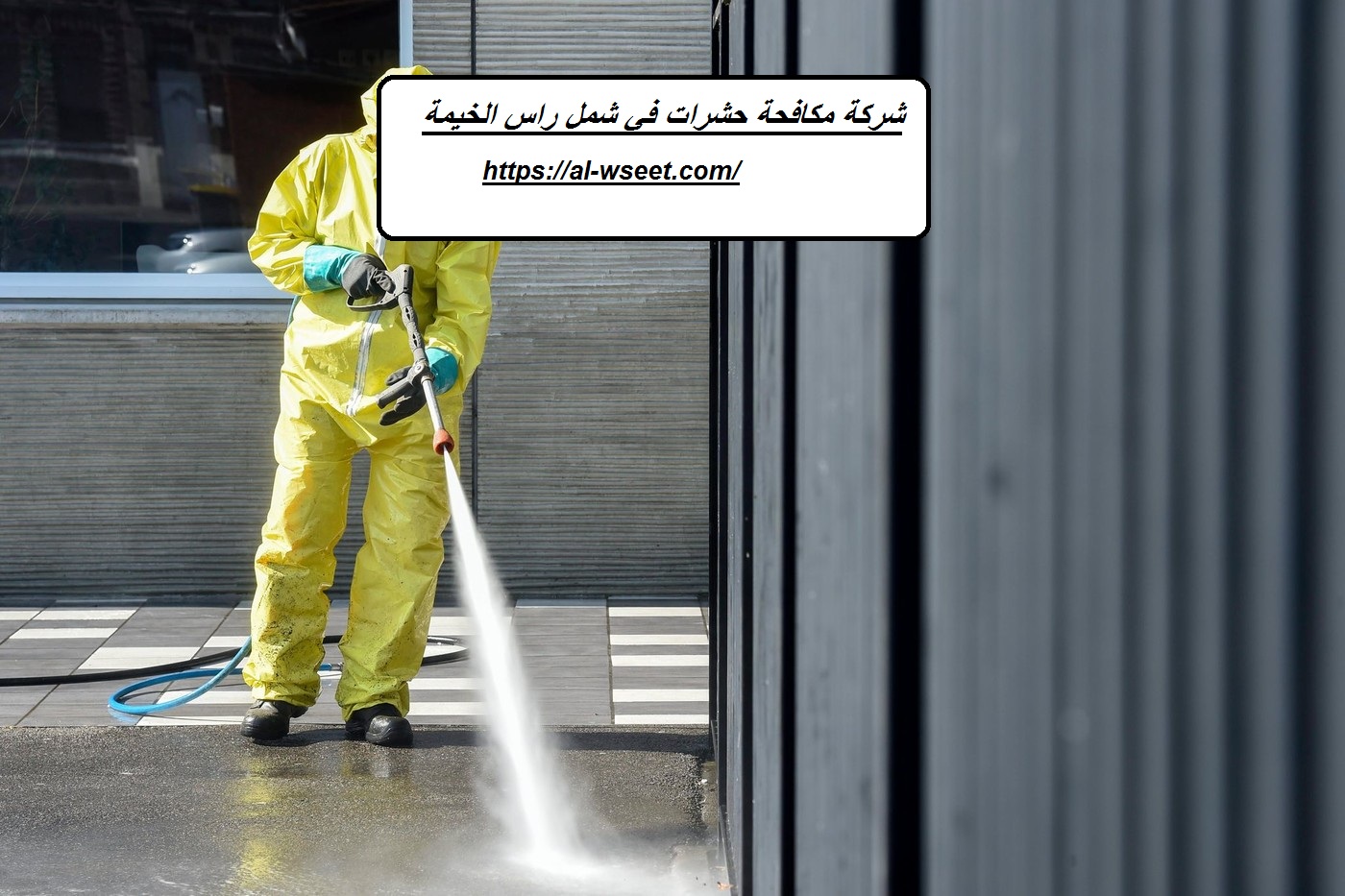 شركة مكافحة حشرات في شمل راس الخيمة