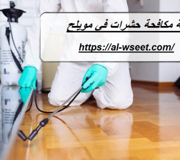 شركة مكافحة حشرات في مويلح