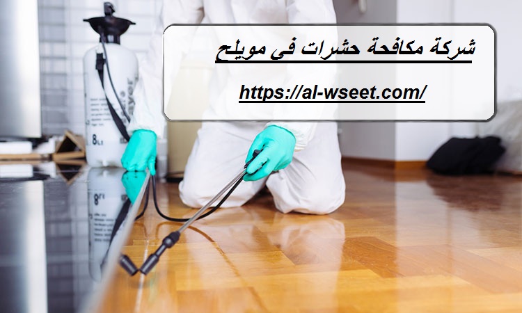 شركة مكافحة حشرات في مويلح